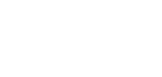 実践型海外ビジネスコンサルティング 6ヶ月で中小企業の新規海外ビジネスの成功をプロデュース